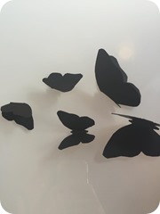 12086734_10207588096005070_1240576766_n