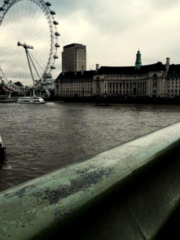 12571162_10208194296079693_1736129196_n