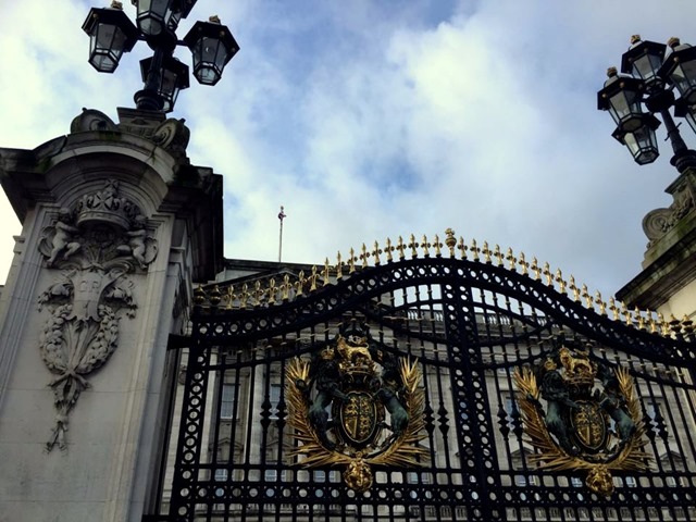 12575725_10208194076594206_1178507087_n